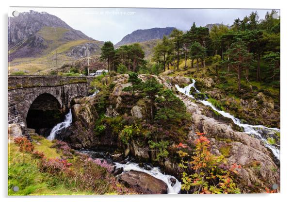 Afon Ogwen Waterfall Snowdonia Wales Acrylic by Pearl Bucknall
