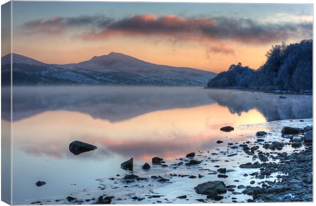 Tegid shore Canvas Print by Rory Trappe