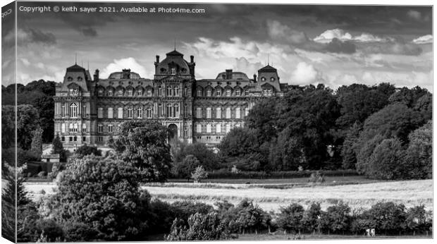 Bowes Museum Canvas Print by keith sayer