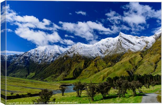 Mount Aspiring National Park in South Island, New Zealand Canvas Print by Chun Ju Wu