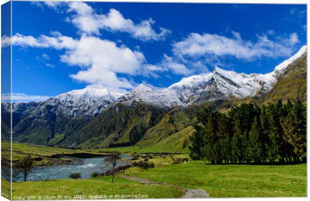 Mount Aspiring National Park in South Island, New Zealand Canvas Print by Chun Ju Wu