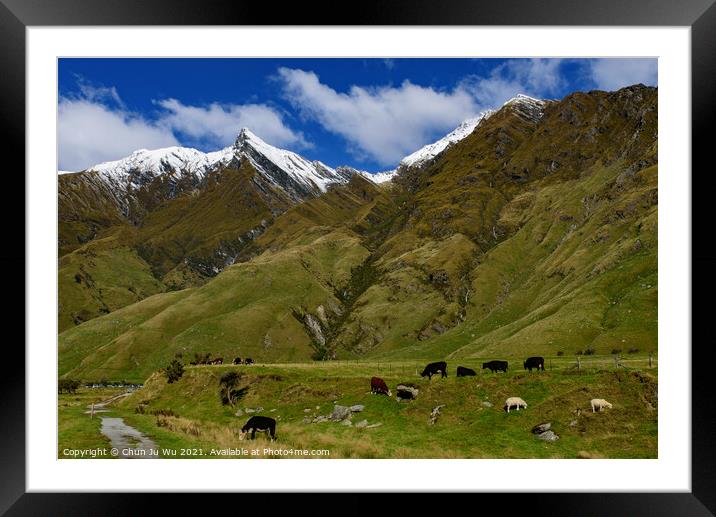 Mount Aspiring National Park in South Island, New Zealand Framed Mounted Print by Chun Ju Wu