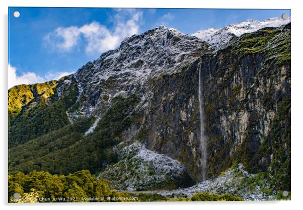Mount Aspiring National Park in South Island, New Zealand Acrylic by Chun Ju Wu
