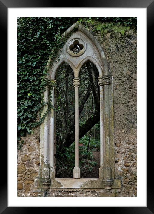 Neogothic Window in Quinta das Lagrimas Framed Mounted Print by Angelo DeVal