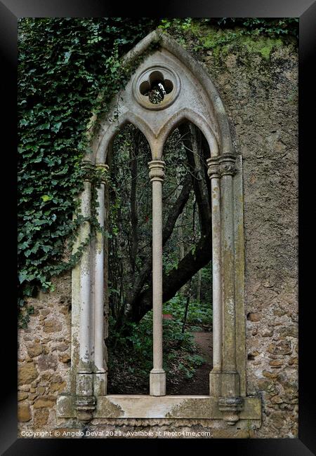 Neogothic Window in Quinta das Lagrimas Framed Print by Angelo DeVal