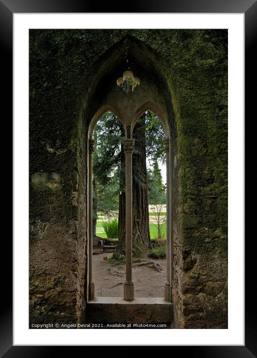 Neogothic Window in Quinta das Lagrimas 2 Framed Mounted Print by Angelo DeVal
