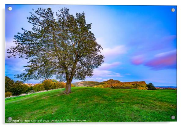 Lone Tree on Calton Hill Edinburgh Scotland. Acrylic by Philip Leonard