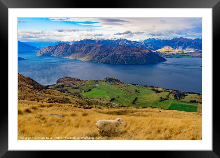 View of Lake Wanaka with a sheep on hill, South Island, New Zealand Framed Mounted Print by Chun Ju Wu