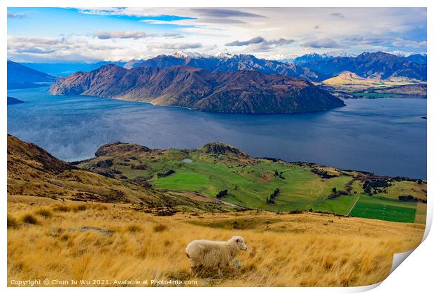 View of Lake Wanaka with a sheep on hill, South Island, New Zealand Print by Chun Ju Wu