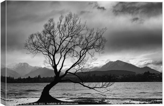Wanaka tree and Lake Wanaka in New Zealand (black and white) Canvas Print by Chun Ju Wu