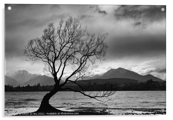 Wanaka tree and Lake Wanaka in New Zealand (black and white) Acrylic by Chun Ju Wu