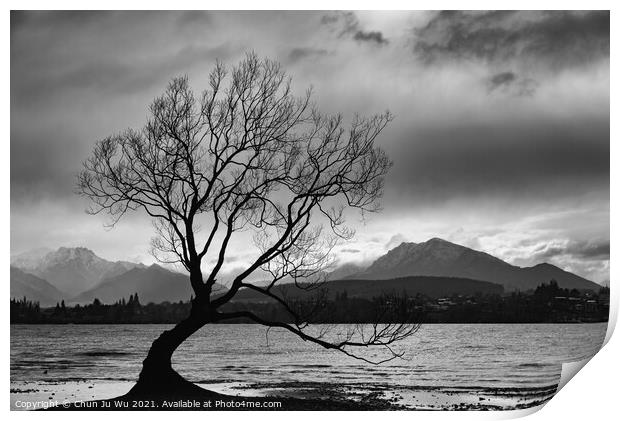 Wanaka tree and Lake Wanaka in New Zealand (black and white) Print by Chun Ju Wu