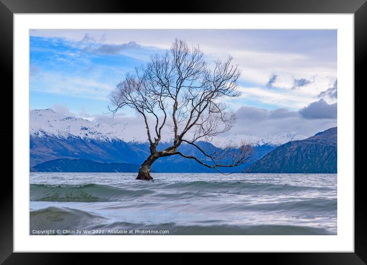 Wanaka tree and Lake Wanaka in winter, New Zealand Framed Mounted Print by Chun Ju Wu