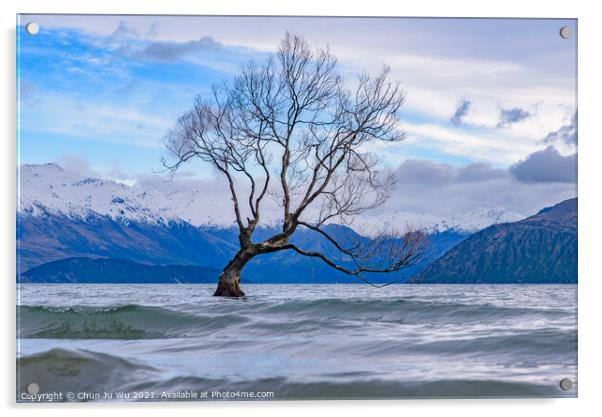 Wanaka tree and Lake Wanaka in winter, New Zealand Acrylic by Chun Ju Wu