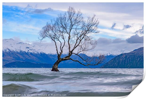 Wanaka tree and Lake Wanaka in winter, New Zealand Print by Chun Ju Wu