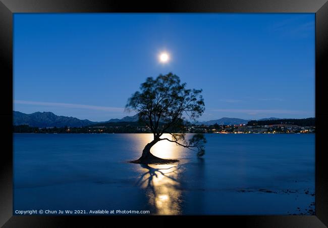 Night view of Wanaka tree and Lake Wanaka in moonlight, New Zealand Framed Print by Chun Ju Wu