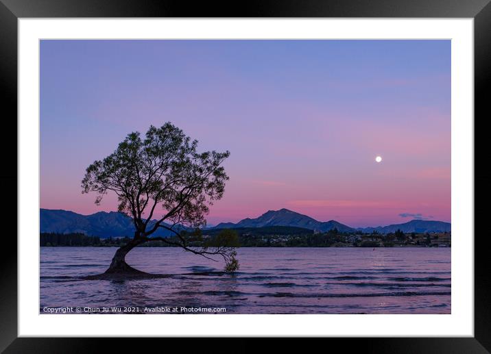 Sunset view of Wanaka tree and Lake Wanaka, New Zealand Framed Mounted Print by Chun Ju Wu