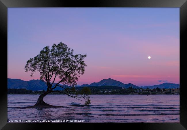 Sunset view of Wanaka tree and Lake Wanaka, New Zealand Framed Print by Chun Ju Wu