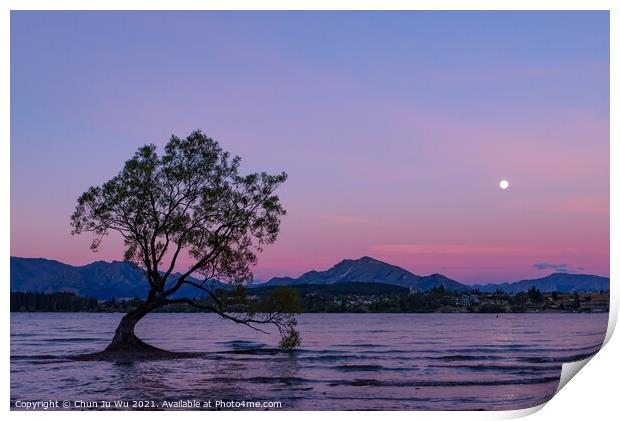 Sunset view of Wanaka tree and Lake Wanaka, New Zealand Print by Chun Ju Wu