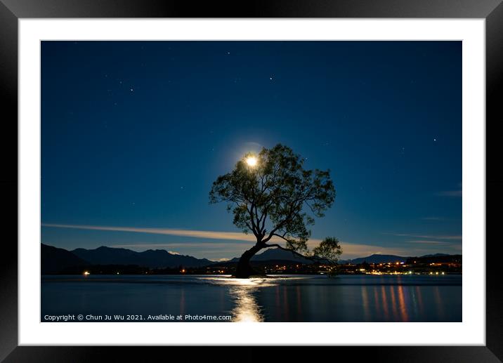 Night view of Wanaka tree and Lake Wanaka in moonlight, New Zealand Framed Mounted Print by Chun Ju Wu