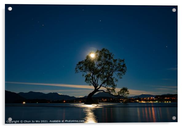 Night view of Wanaka tree and Lake Wanaka in moonlight, New Zealand Acrylic by Chun Ju Wu