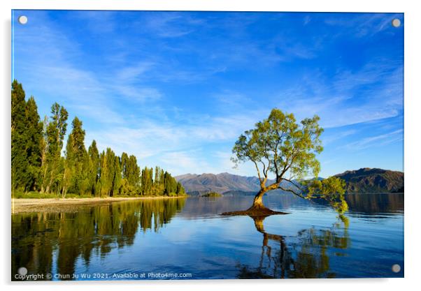 Wanaka tree and reflection on Lake Wanaka in South Island, New Zealand Acrylic by Chun Ju Wu