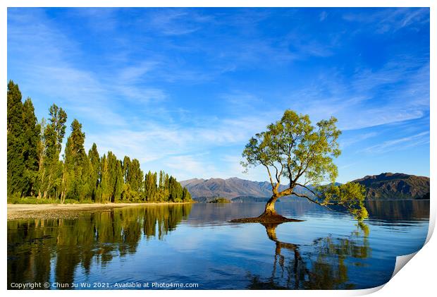 Wanaka tree and reflection on Lake Wanaka in South Island, New Zealand Print by Chun Ju Wu