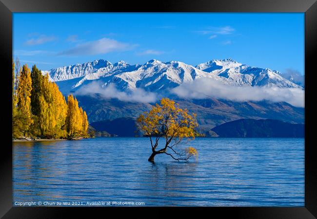 Wanaka tree and Lake Wanaka in autumn, New Zealand Framed Print by Chun Ju Wu