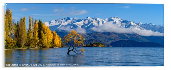 Panorama of Wanaka tree and Lake Wanaka in autumn, New Zealand Acrylic by Chun Ju Wu