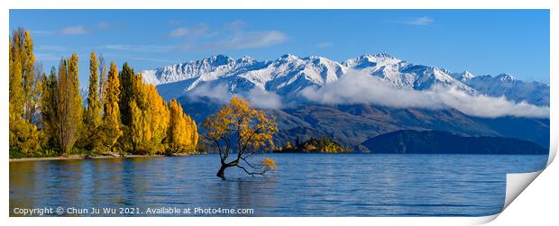 Panorama of Wanaka tree and Lake Wanaka in autumn, New Zealand Print by Chun Ju Wu