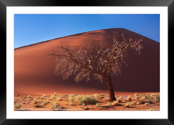 Dune 45 solitary tree Sossusvlei Namibia Africa. Framed Mounted Print by Barbara Jones