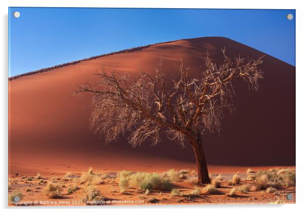 Dune 45 solitary tree Sossusvlei Namibia Africa. Acrylic by Barbara Jones