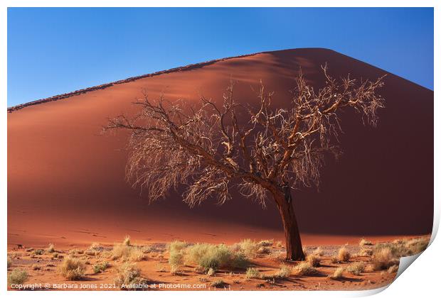 Dune 45 solitary tree Sossusvlei Namibia Africa. Print by Barbara Jones