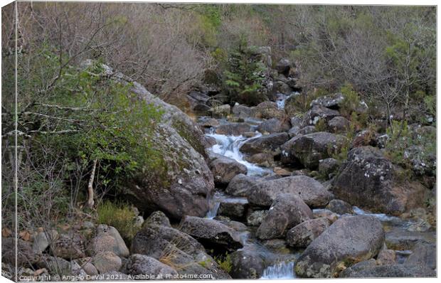 Rocky Waterfall Scenery in Geres Canvas Print by Angelo DeVal