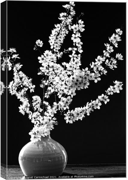 Dramatic Monochrome Spring Blossom Canvas Print by Janet Carmichael
