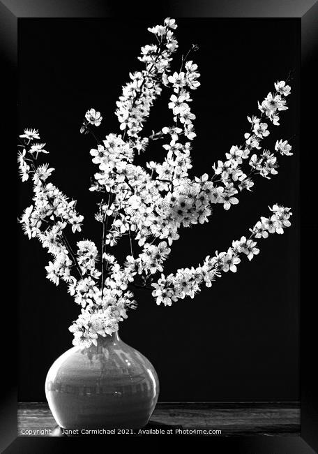 Dramatic Monochrome Spring Blossom Framed Print by Janet Carmichael