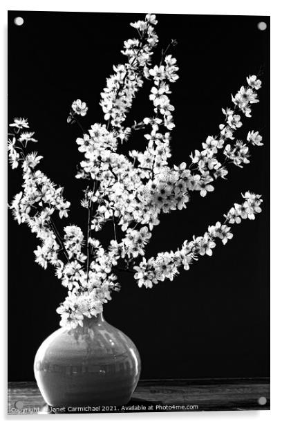 Dramatic Monochrome Spring Blossom Acrylic by Janet Carmichael