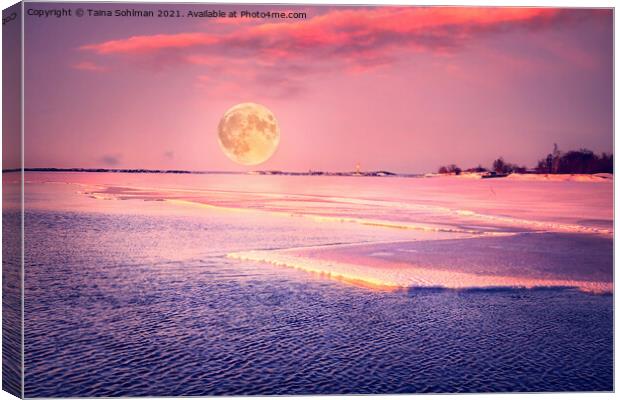 Pink March Moonrise over Sea Canvas Print by Taina Sohlman