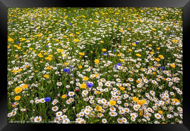 Wildflower Meadow Framed Print by Jim Monk