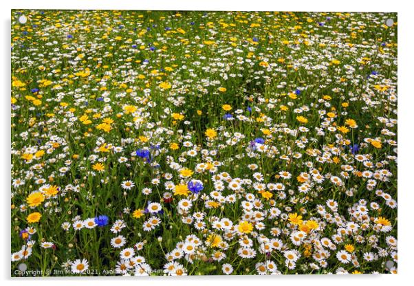 Wildflower Meadow Acrylic by Jim Monk