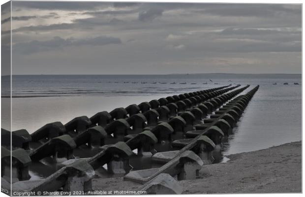 Wave Breakers in New Brighton Canvas Print by Photography by Sharon Long 
