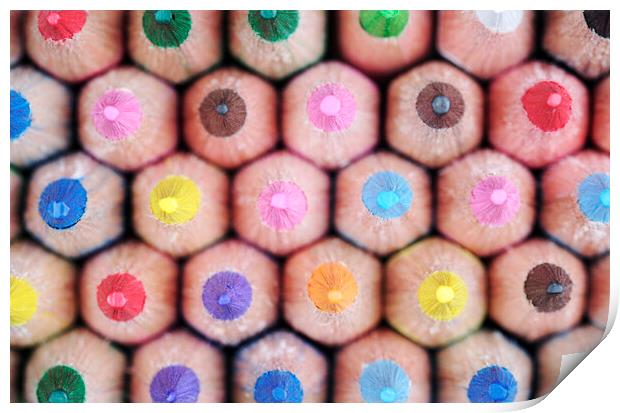 Colorful Pencils 2 Print by Neil Overy
