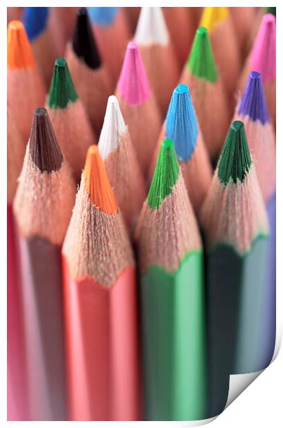 Coloured Pencils 1 Print by Neil Overy