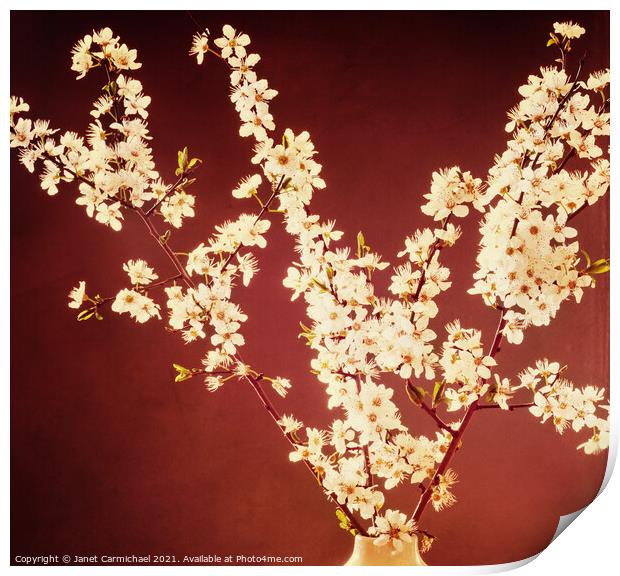 Mulberry Blossom Elegance Print by Janet Carmichael