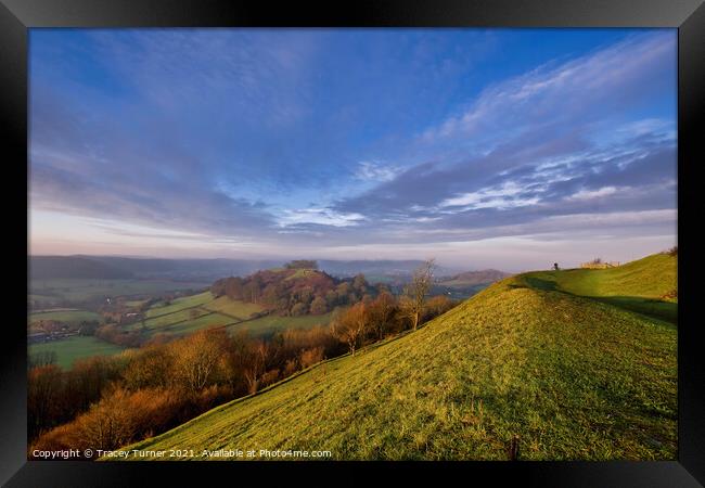 View to Downham Hill in Dursley Framed Print by Tracey Turner