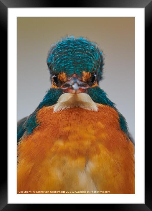 What are you looking at? Framed Mounted Print by Corné van Oosterhout