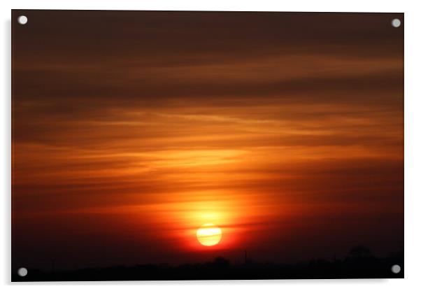 Sunset  Acrylic by Sam Owen