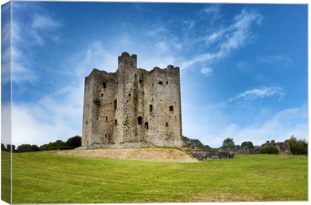 Ancient mediaeval castle in Ireland surrounded by grassy fields  Canvas Print by Thomas Baker