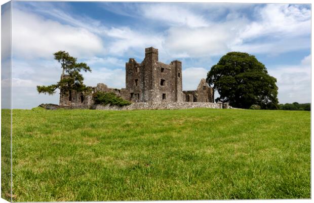 Old tiny castle in Ireland surrounded by grassy fields   Canvas Print by Thomas Baker