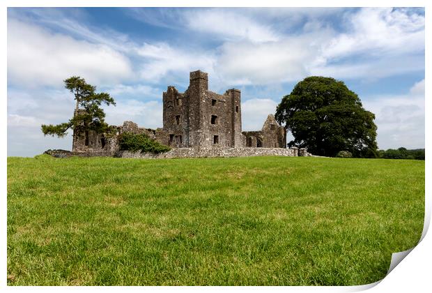 Old tiny castle in Ireland surrounded by grassy fields   Print by Thomas Baker